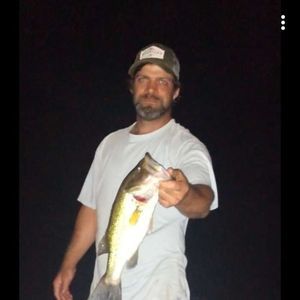 Meet your Posher, Dexter